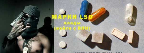ECSTASY Алзамай