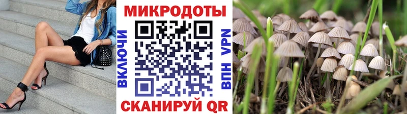Псилоцибиновые грибы ЛСД  кракен как зайти  Серпухов 