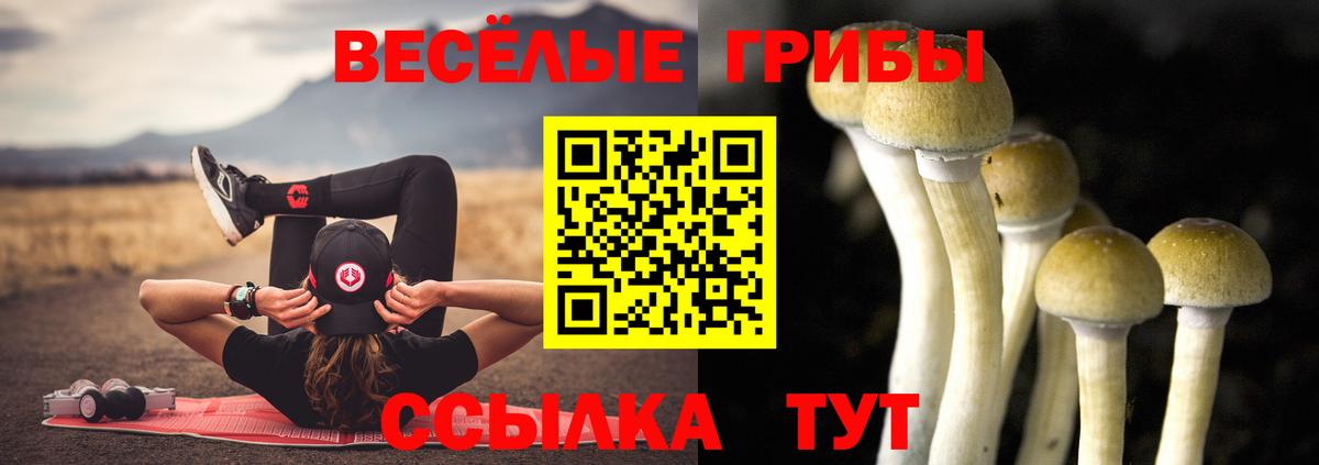 Серпухов  Галлюциногенные грибы мицелий  Вход с VPN 